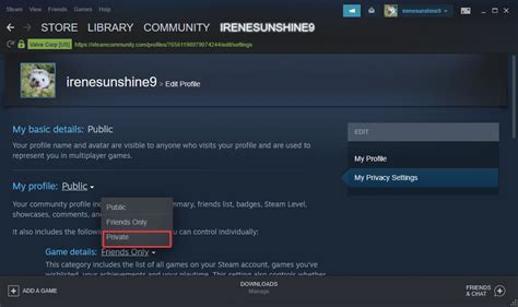 How do I hide individual games from friends on Steam?