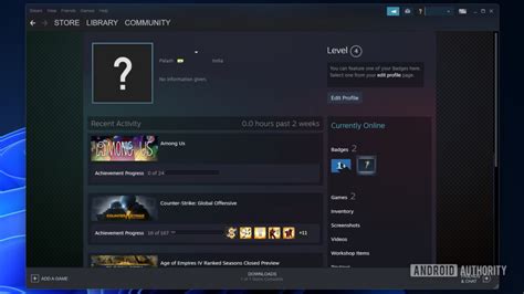How do I hide my Steam profile from games?