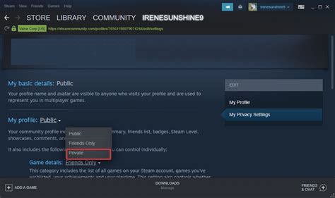 How do I hide my friends information on Steam?