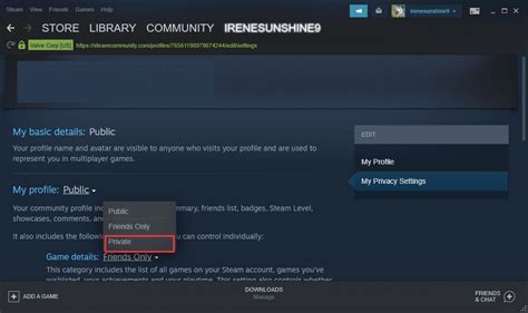 How do I hide my status on Steam?