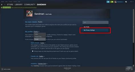 How do I hide when I am online on Steam?