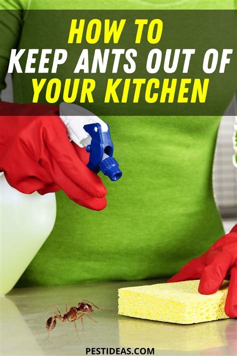 How do I keep ants away from me?