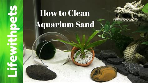 How do I keep my aquarium sand clean?