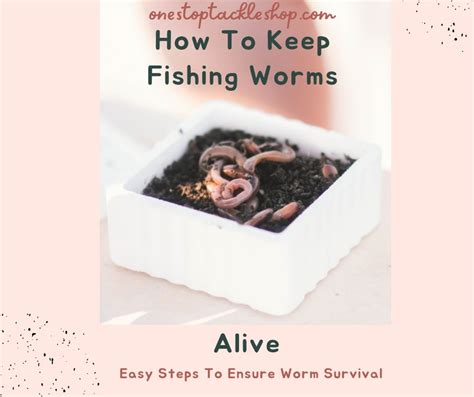 How do I keep my fishing worms alive?