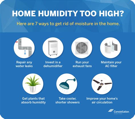 How do I keep my house moisture free?