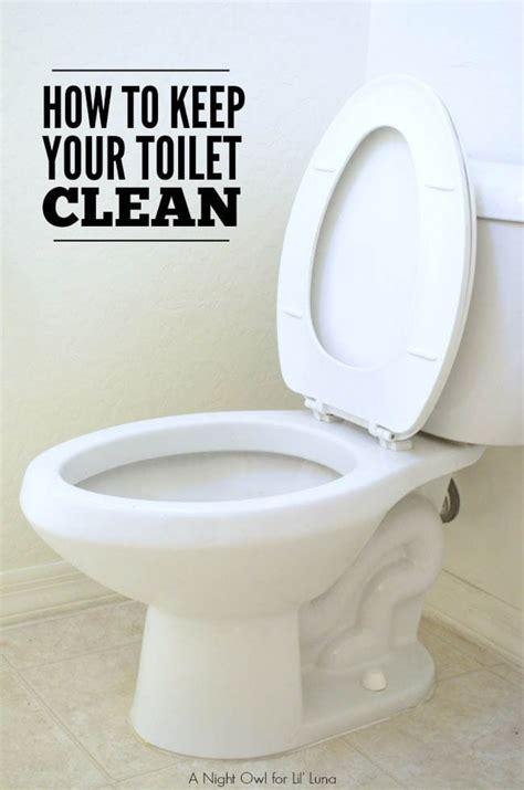 How do I keep my toilet clean naturally?