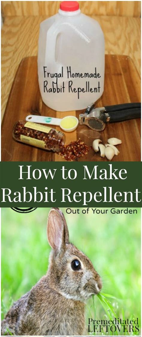 How do I keep rabbits out of my garden naturally?