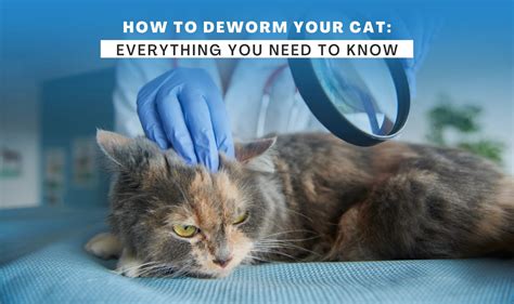 How do I know I need to deworm?