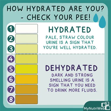 How do I know if I'm dehydrated?