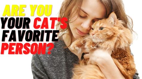 How do I know if I'm my cat's favorite person?