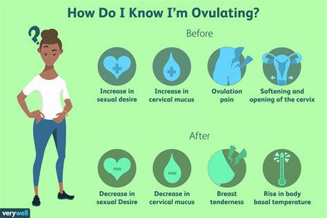 How do I know if I'm ovulating?