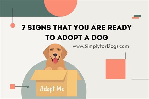 How do I know if I am ready for a puppy?