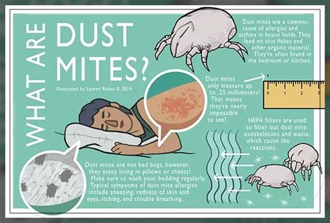 How do I know if I have dust mites?