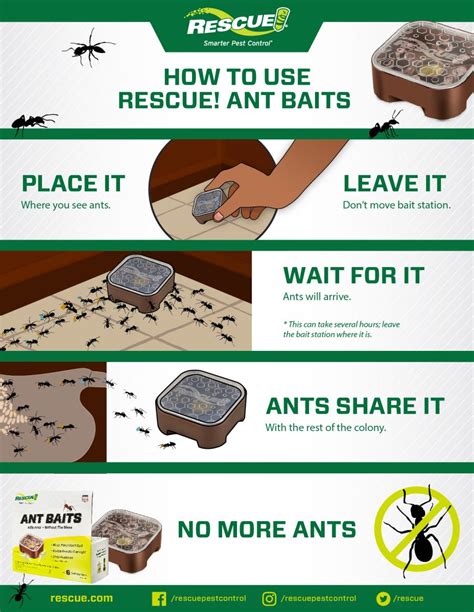 How do I know if ant bait is working?