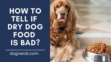 How do I know if dry dog food is bad?