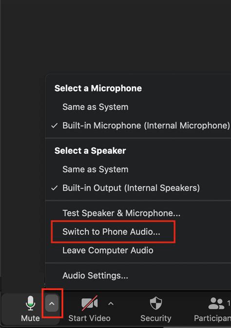 How do I know if my Zoom is on audio?