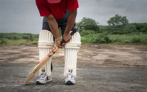 How do I know if my cricket bat is dry?
