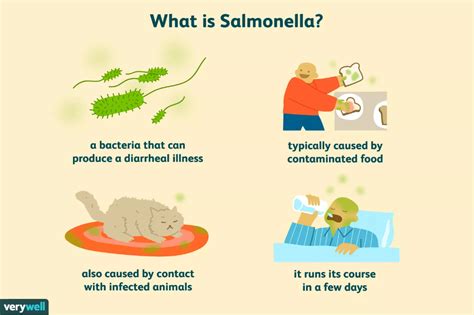 How do I know if my dog has salmonella?