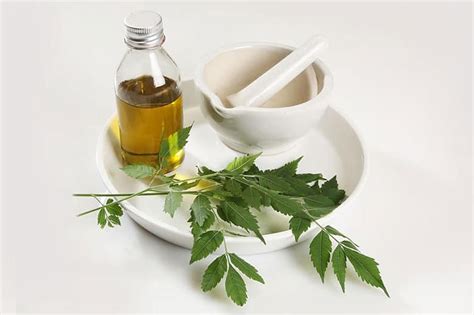 How do I know if my neem oil is bad?