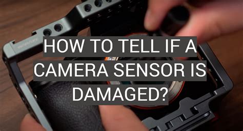 How do I know if my phone camera sensor is damaged?