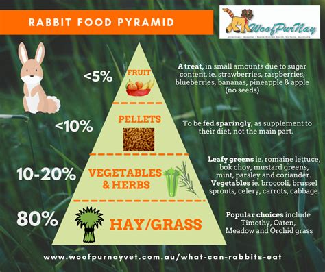 How do I know if my rabbit is eating enough?