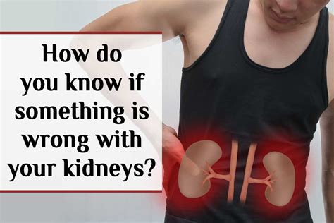 How do I know if something is wrong with my kidneys?
