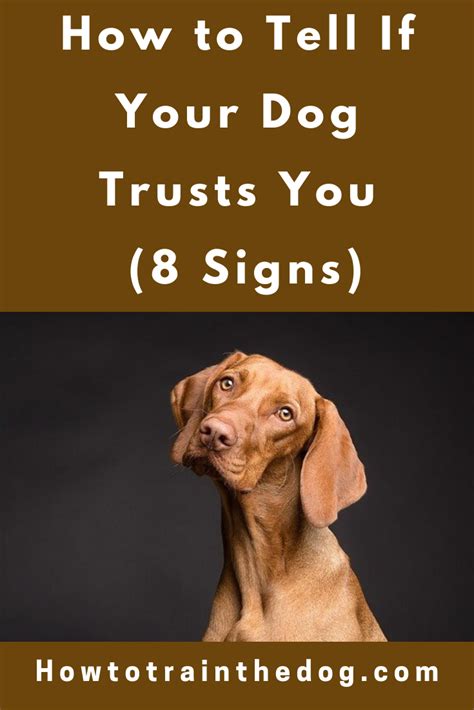 How do I know my dog trusts me?