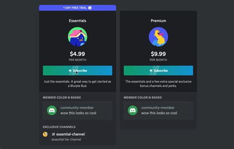 How do I make a paid Discord server?