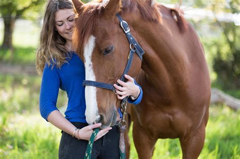 How do I make my horse feel safe?