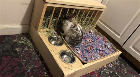 How do I make my rabbit litter box not smell?