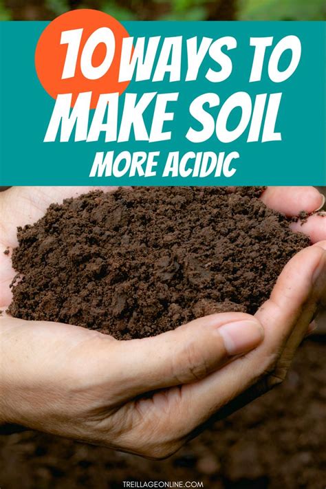 How do I make my soil more acidic?