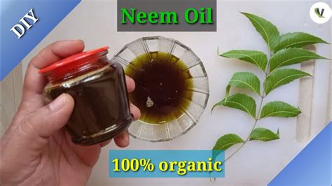 How do I make neem oil at home?