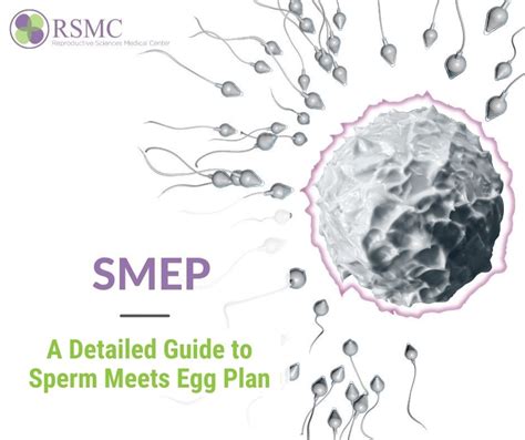 How do I make sure my sperm meets my egg?