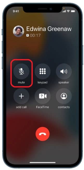 How do I mute a phone call from one person?