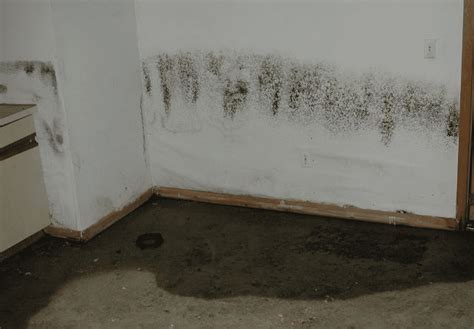 How do I permanently remove moisture from my basement?