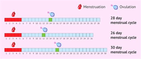 How do I predict my first period?