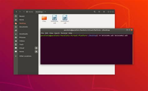 How do I quickly delete in Linux terminal?