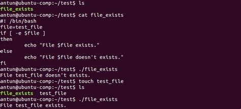 How do I remove a file only if it exists in Linux?
