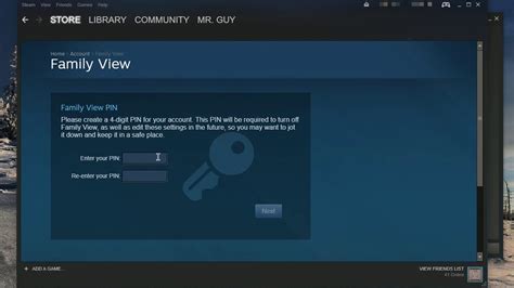 How do I reset my Steam Family view pin?