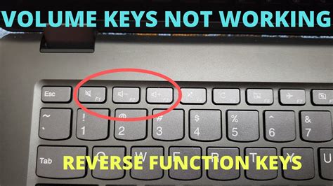 How do I reverse the Fn key on my HP?