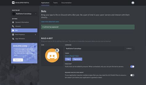 How do I run a Discord bot?