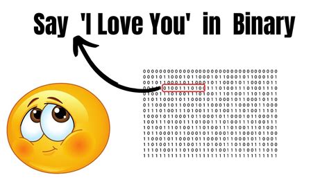 How do I say I love you in binary code?