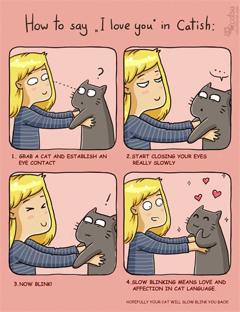 How do I say I love you in cat language?