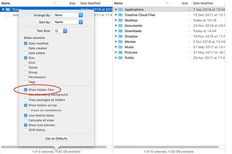 How do I see hidden files on Mac?