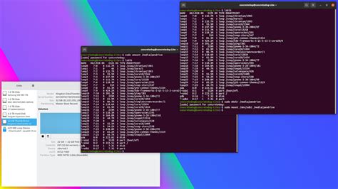 How do I see mounted drives in Linux terminal?