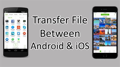 How do I share files between Android and iOS?