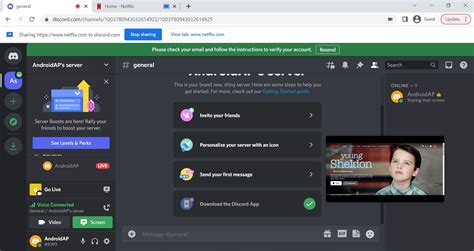 How do I share my Netflix screen on Discord Youtube?