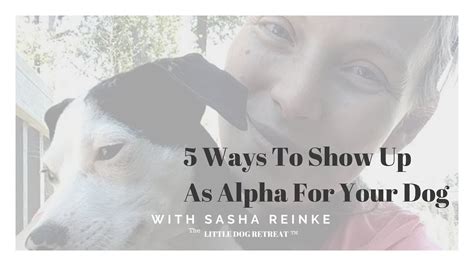 How do I show my dog I am Alpha?