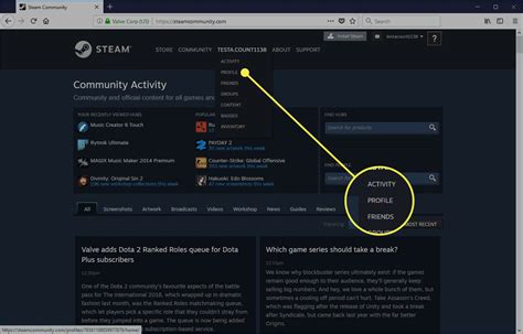 How do I stay online on Steam?