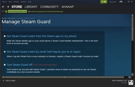 How do I stop Steam from borrowing my library?